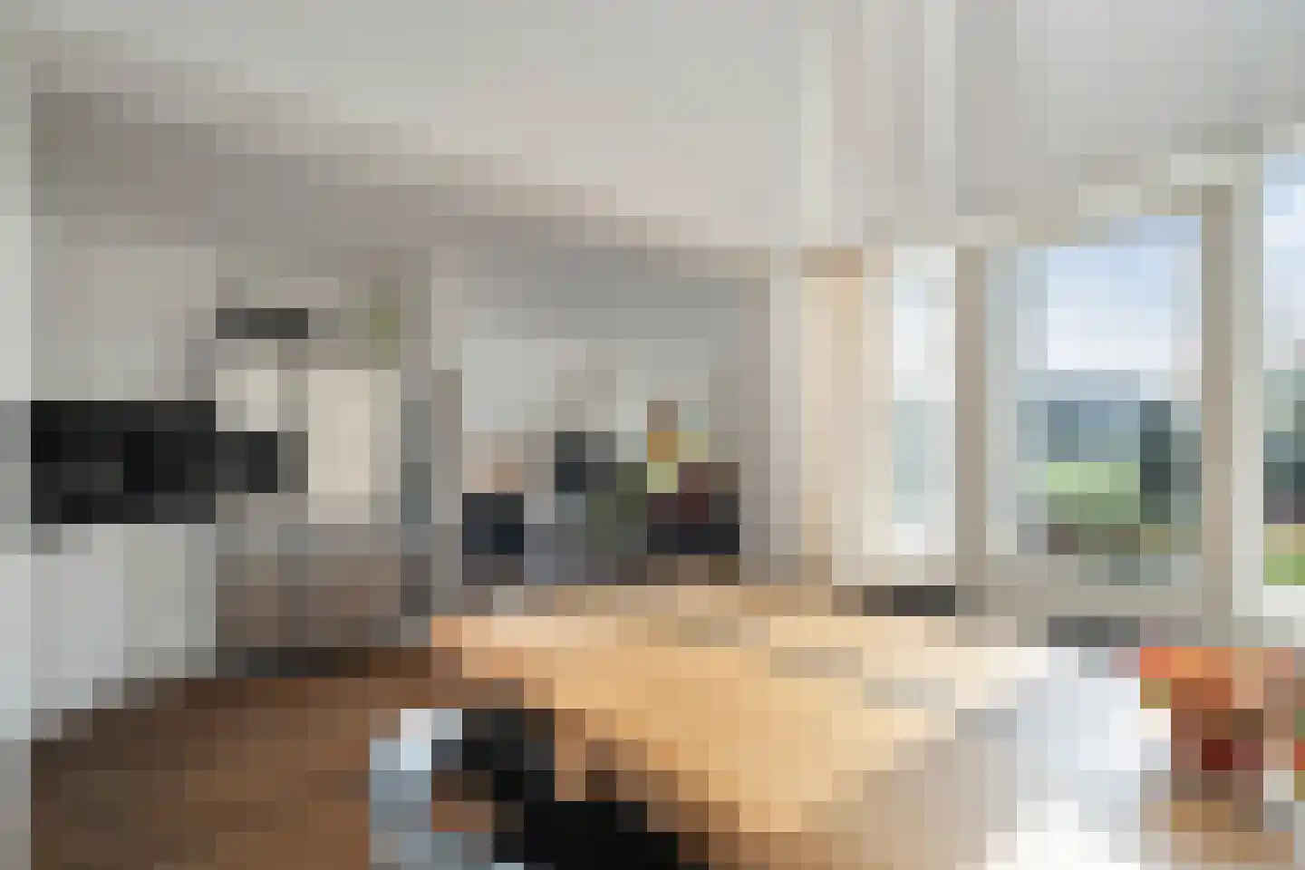 Ooghduyne 161 Julianadorp thumbnail 15