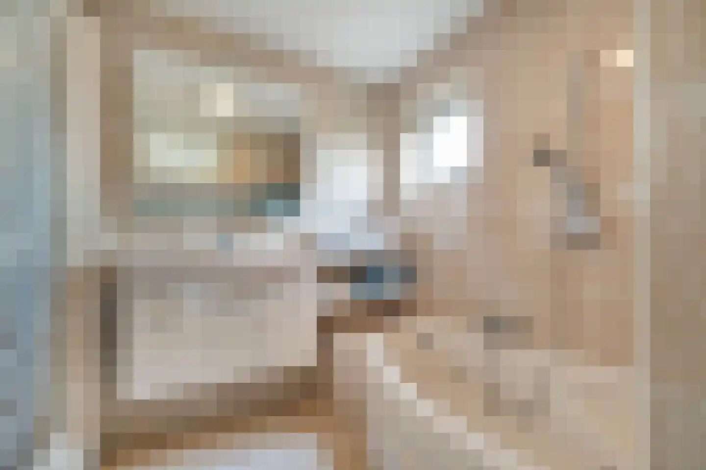 Ooghduyne 161 Julianadorp thumbnail 19