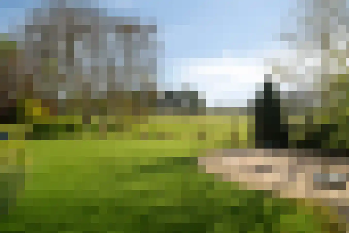 Ooghduyne 161 Julianadorp thumbnail 34