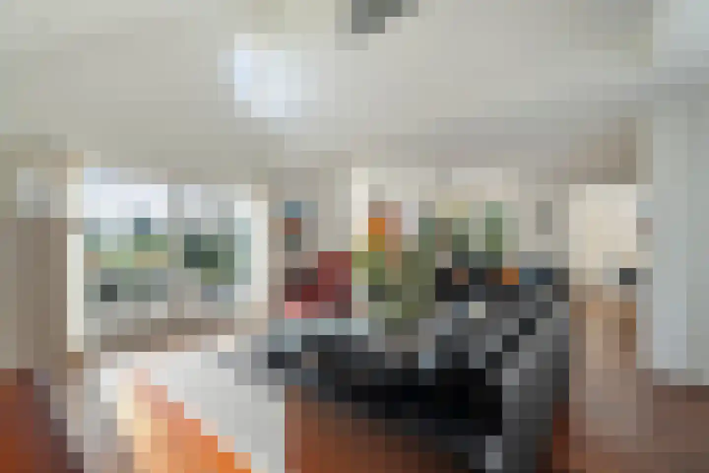 Ooghduyne 161 Julianadorp thumbnail 7