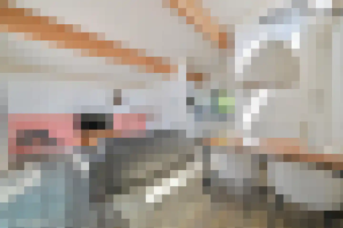 Ooghduyne 20 201 Julianadorp thumbnail 6