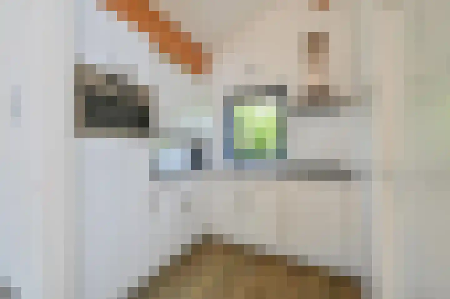 Ooghduyne 20 201 Julianadorp thumbnail 9