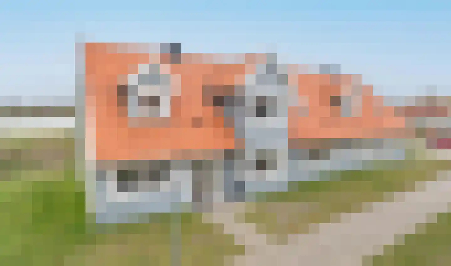 Ooghduyne 20 335 Julianadorp