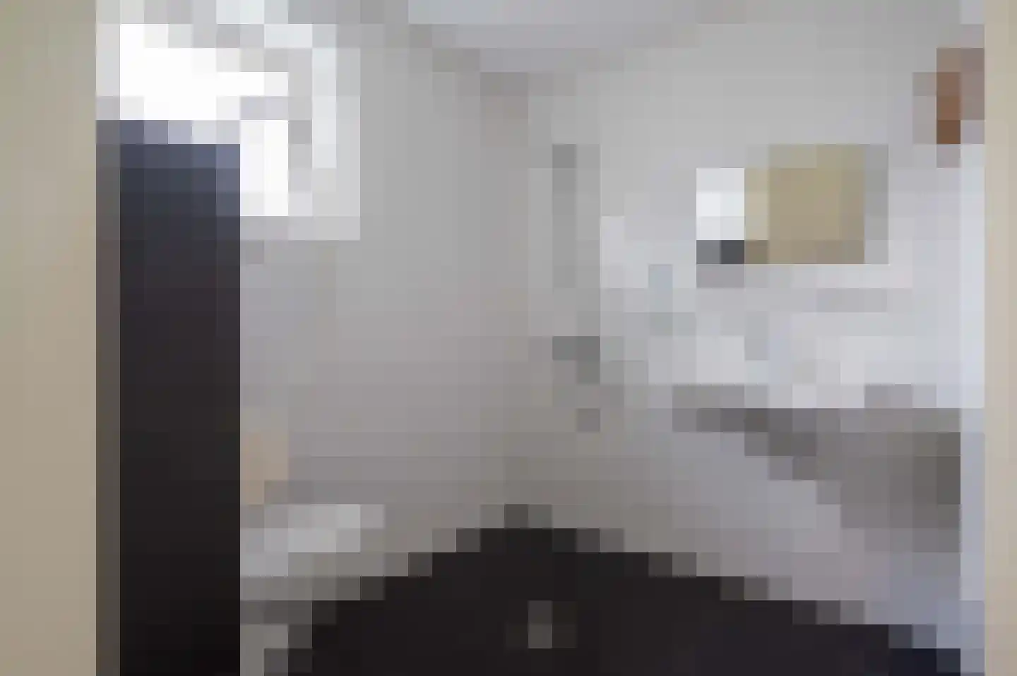 Ooghduyne 20 335 Julianadorp thumbnail 18