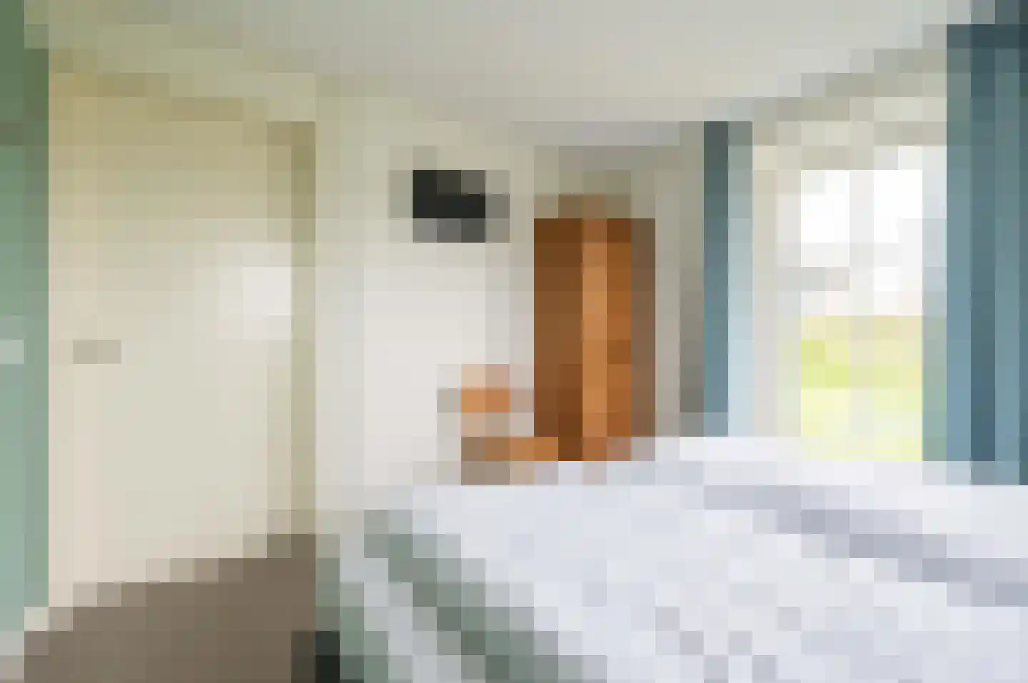 Ooghduyne 20 335 Julianadorp thumbnail 21