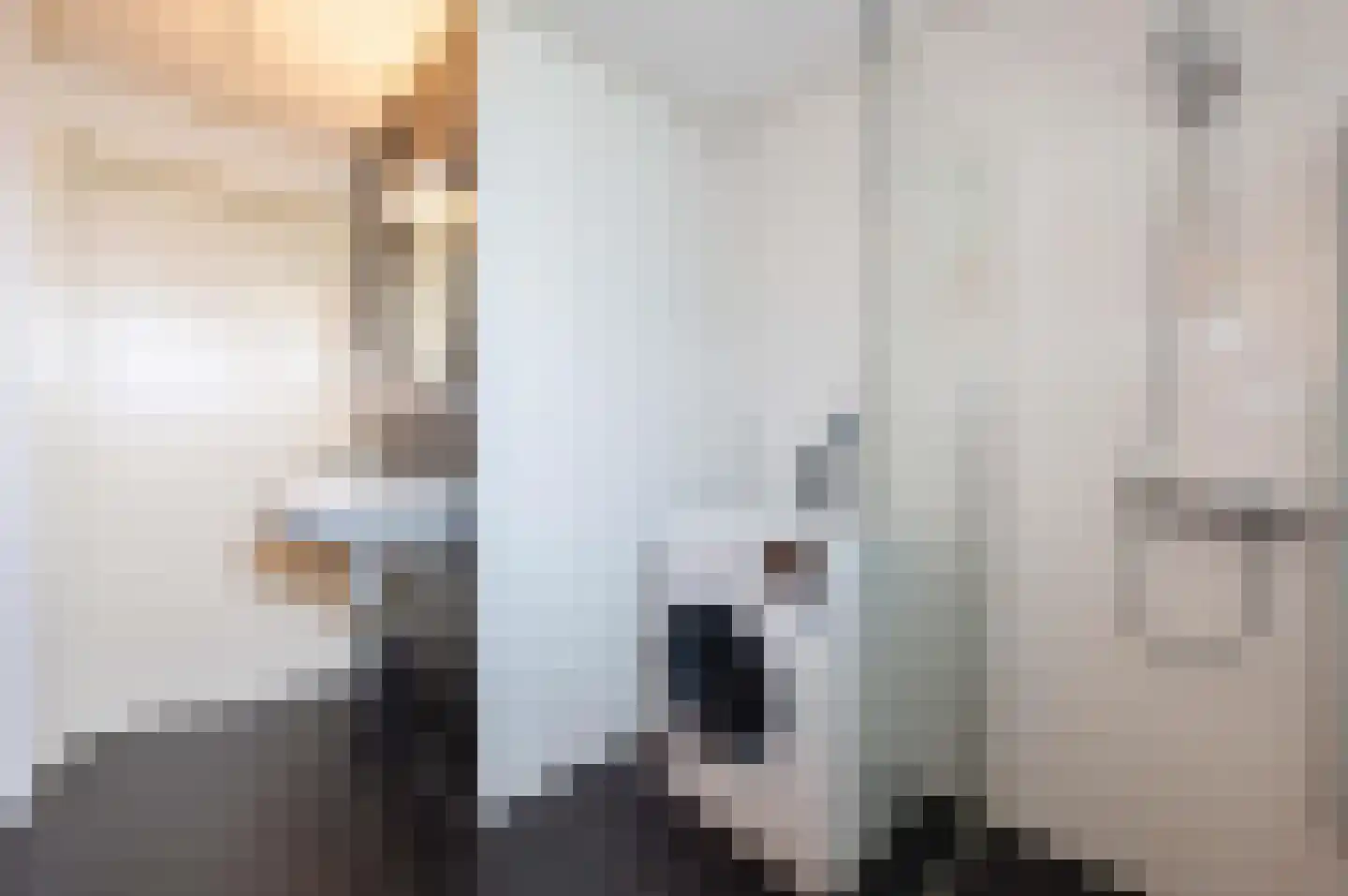 Ooghduyne 20 335 Julianadorp thumbnail 22