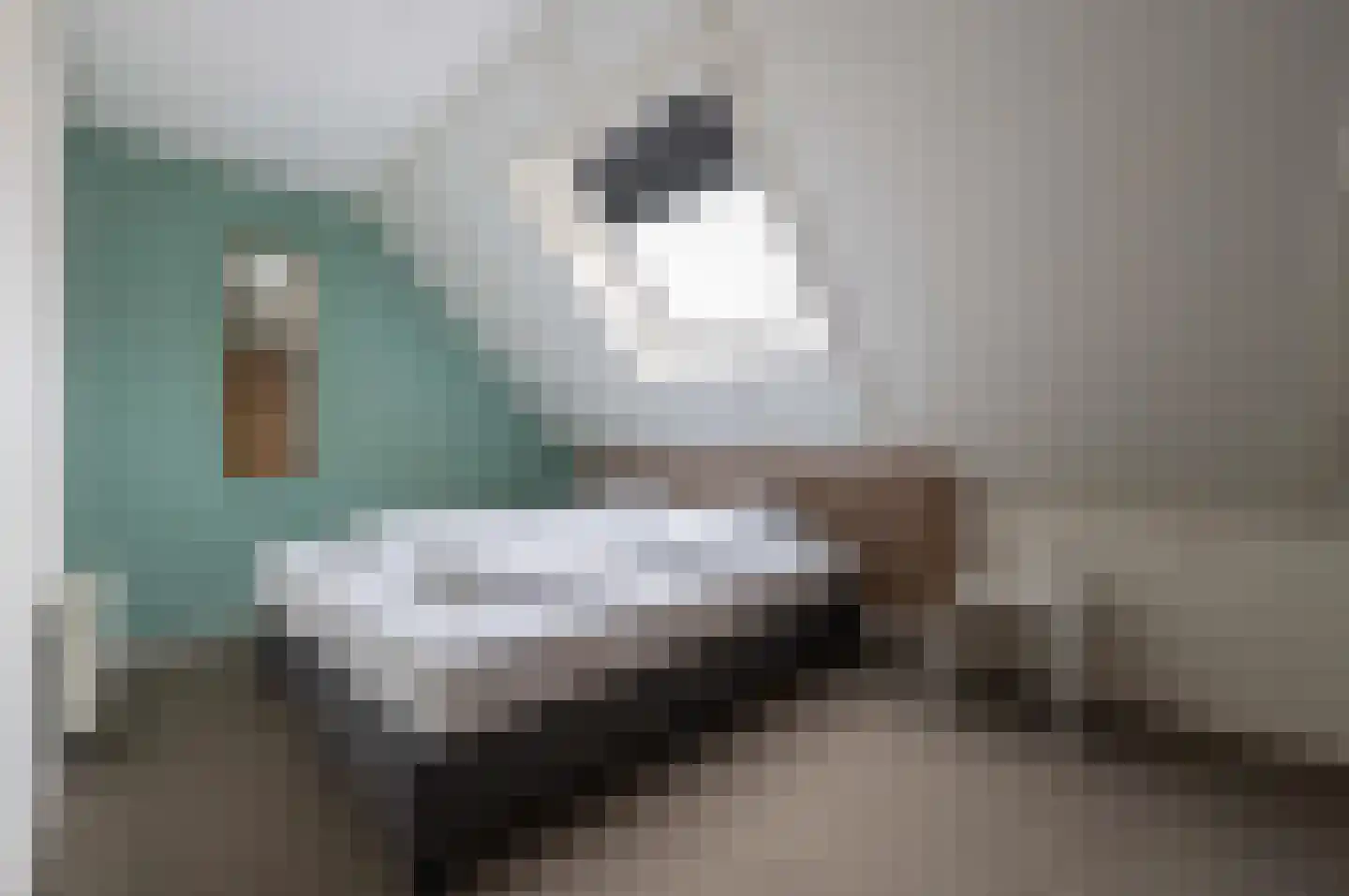 Ooghduyne 20 335 Julianadorp thumbnail 28