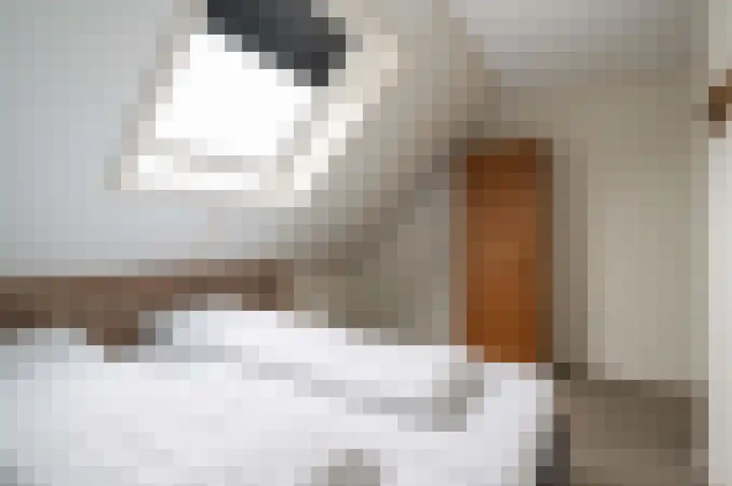 Ooghduyne 20 335 Julianadorp thumbnail 29