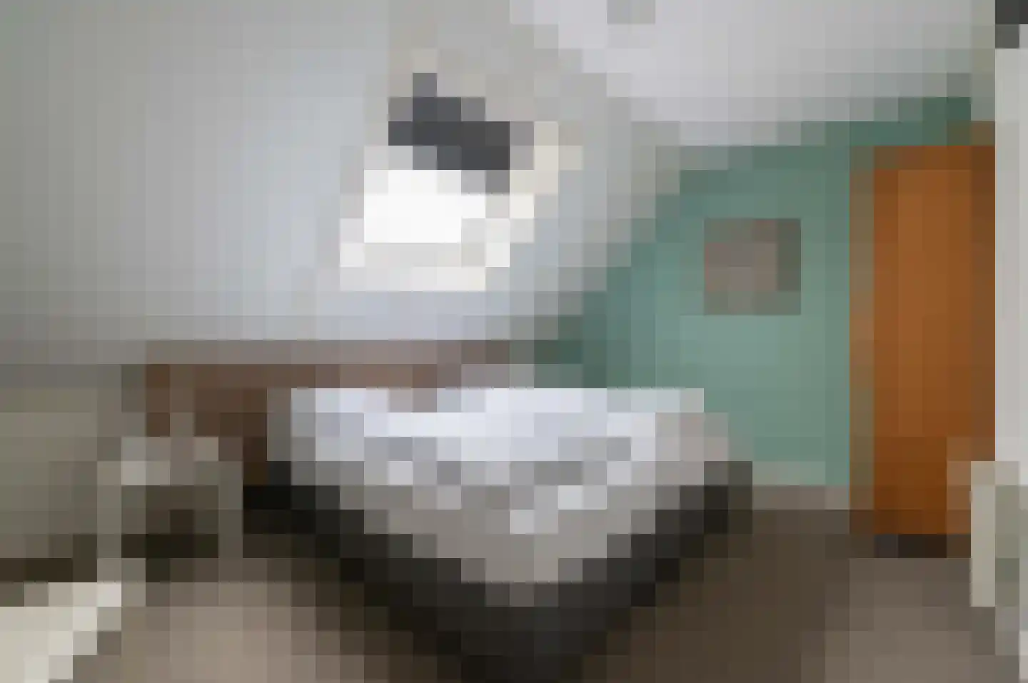 Ooghduyne 20 335 Julianadorp thumbnail 31
