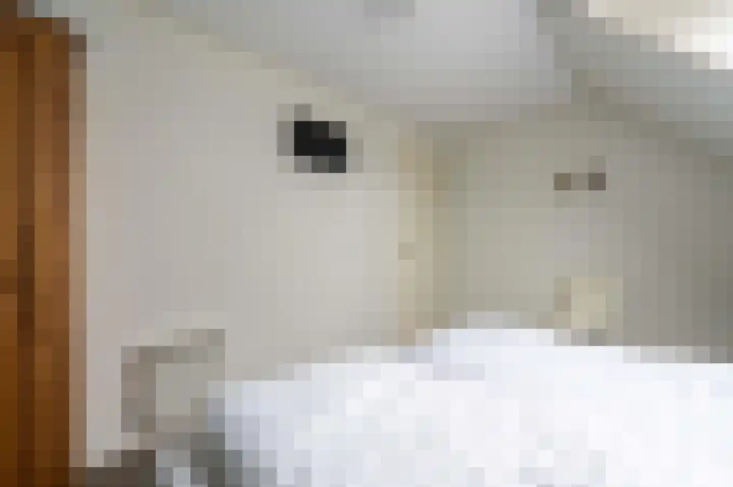 Ooghduyne 20 335 Julianadorp thumbnail 32