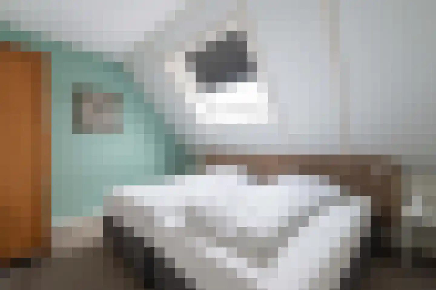 Ooghduyne 20 335 Julianadorp thumbnail 34