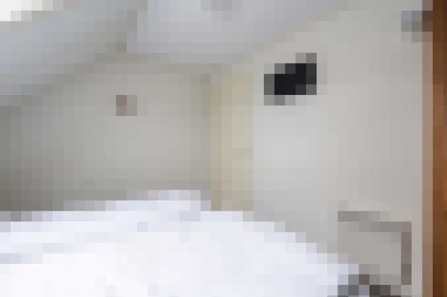 Ooghduyne 20 335 Julianadorp thumbnail 35