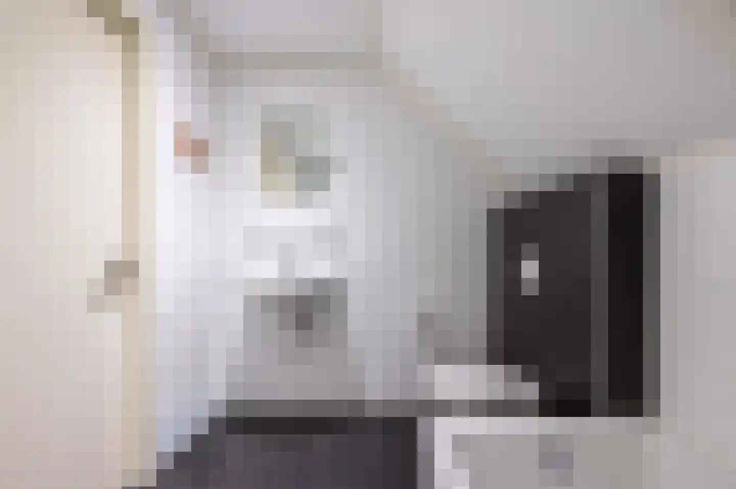 Ooghduyne 20 335 Julianadorp thumbnail 37
