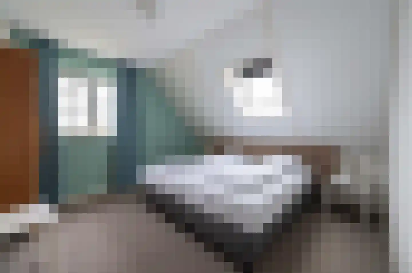 Ooghduyne 20 335 Julianadorp thumbnail 38