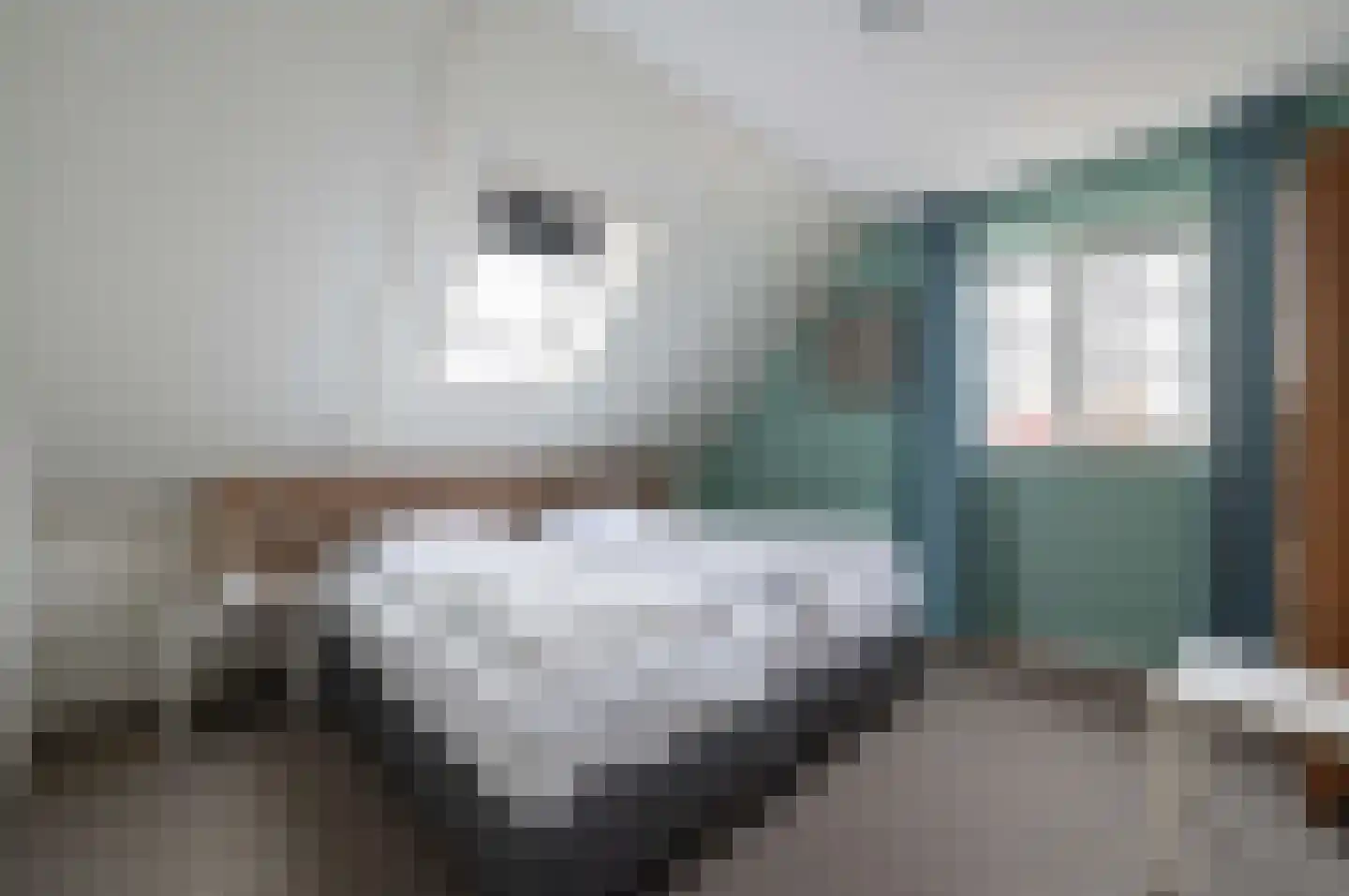 Ooghduyne 20 336 Julianadorp thumbnail 28