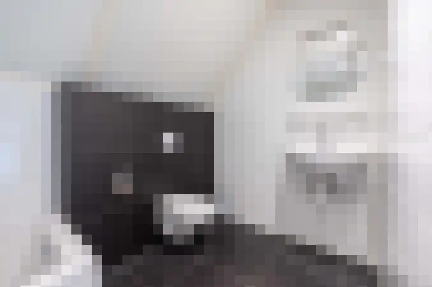 Ooghduyne 20 336 Julianadorp thumbnail 30