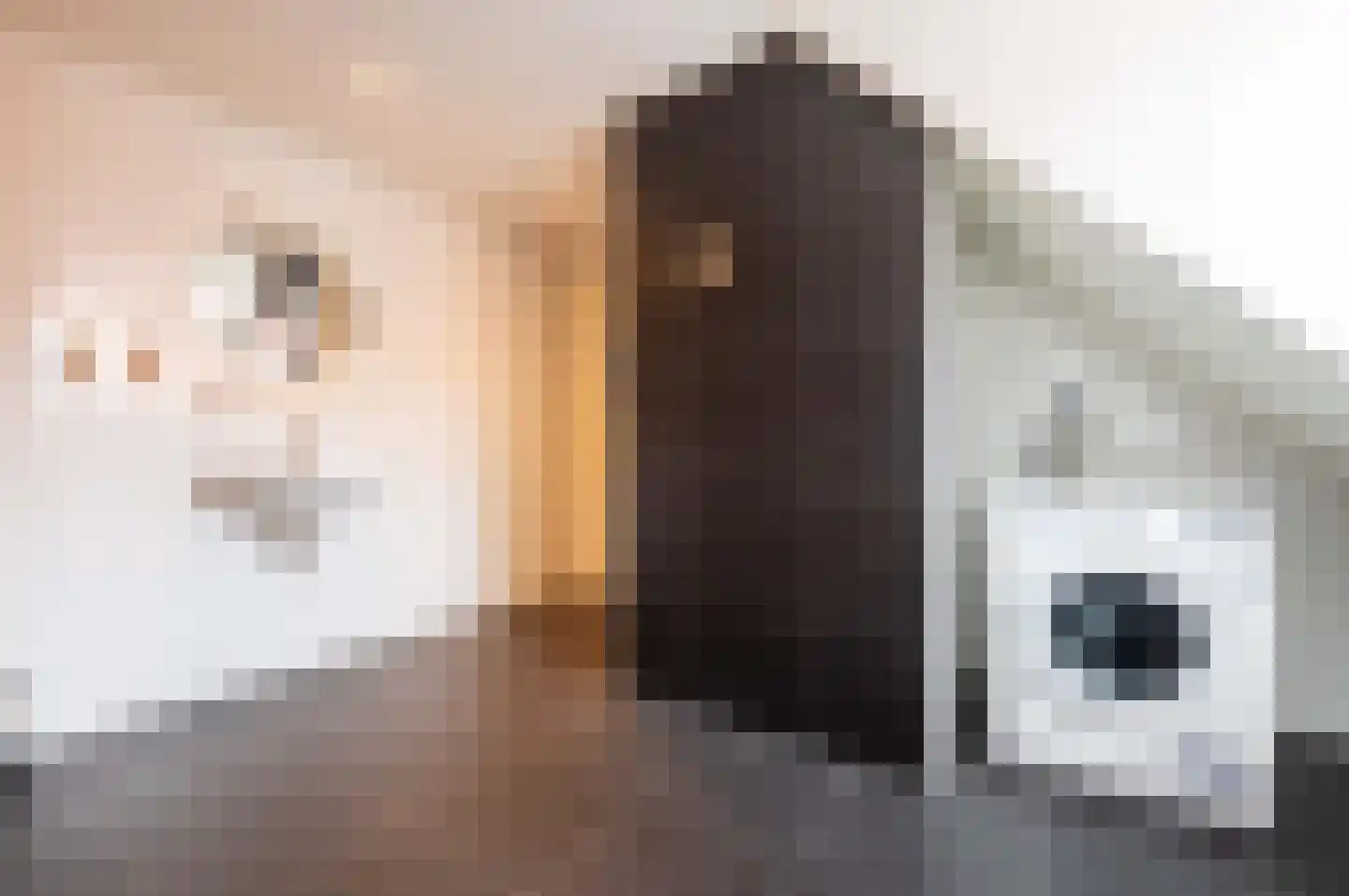 Ooghduyne 20 336 Julianadorp thumbnail 35