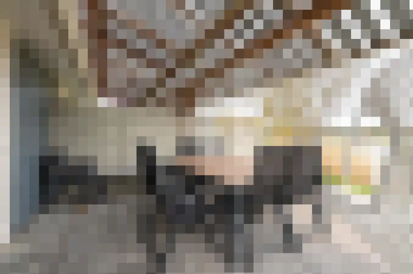 Ooghduyne 20 336 Julianadorp thumbnail 39