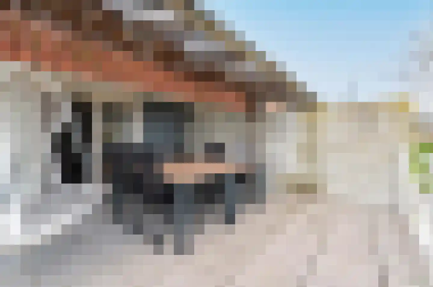 Ooghduyne 20 336 Julianadorp thumbnail 40