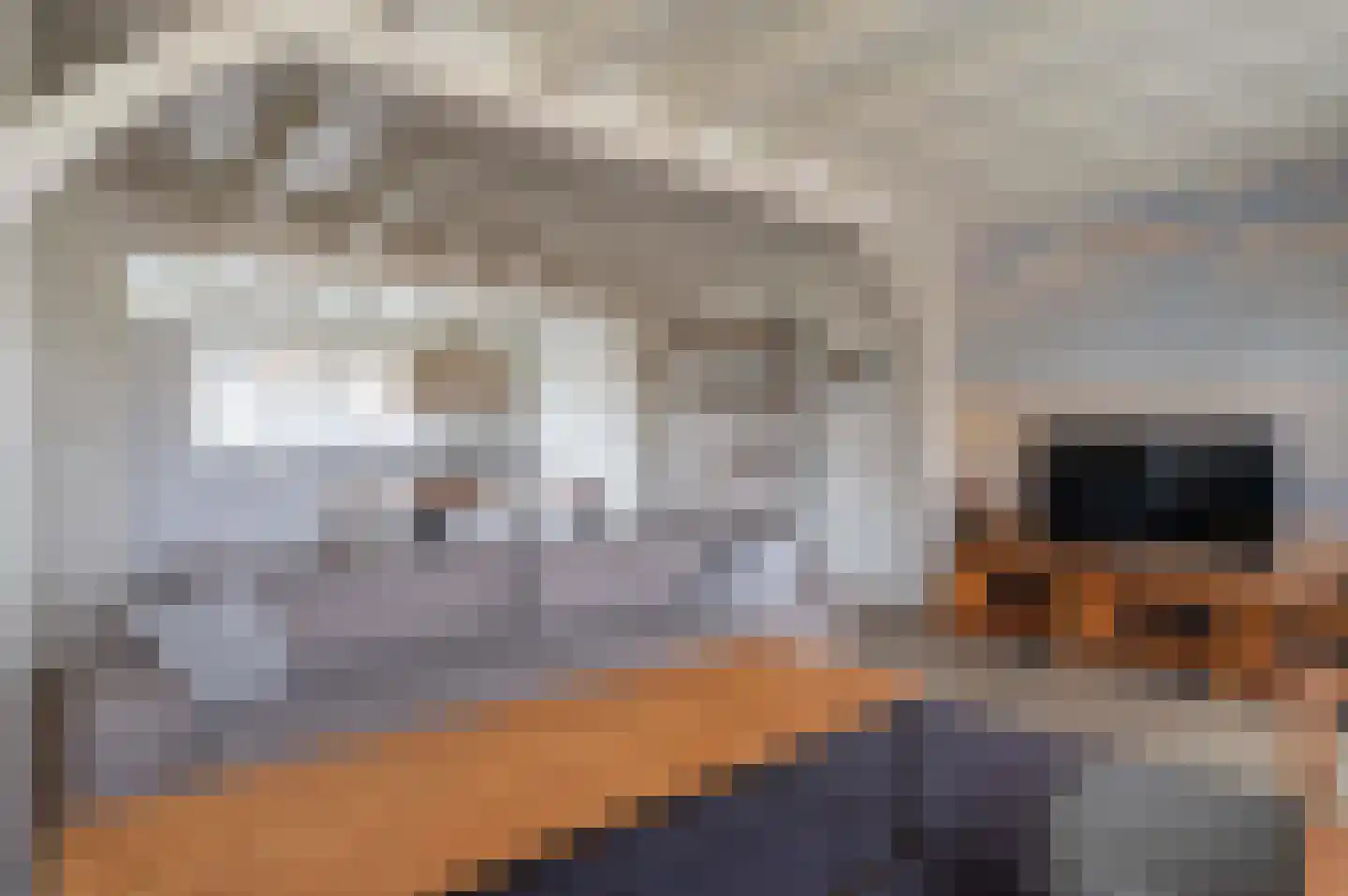 Ooghduyne 20 336 Julianadorp thumbnail 7