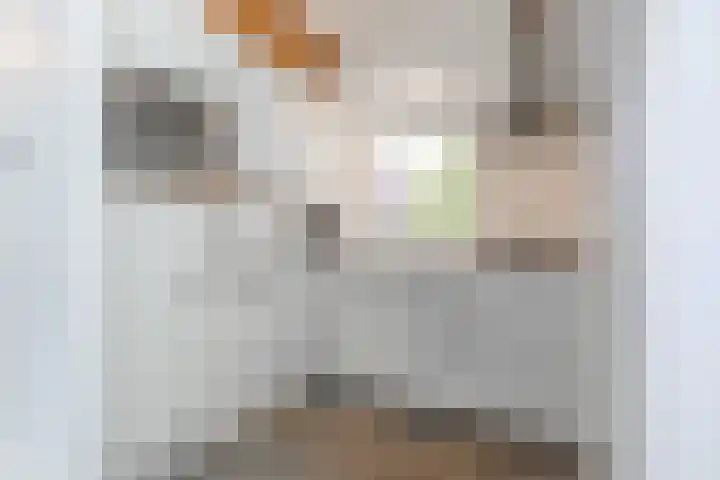 Ooghduyne 205 Julianadorp thumbnail 11
