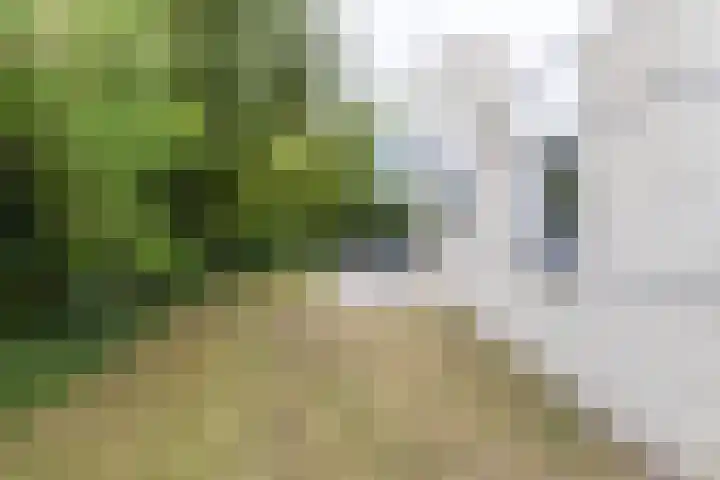 Ooghduyne 205 Julianadorp thumbnail 23