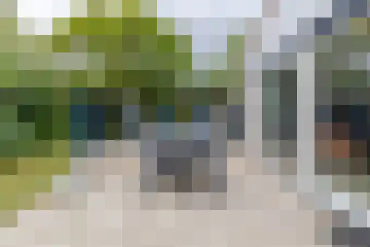 Ooghduyne 205 Julianadorp thumbnail 25