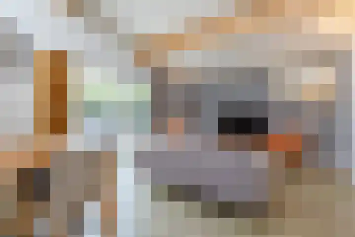 Ooghduyne 205 Julianadorp thumbnail 4