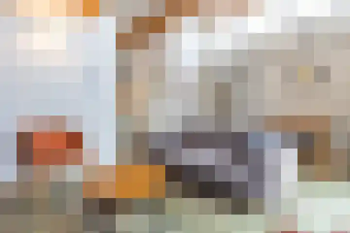 Ooghduyne 205 Julianadorp thumbnail 8