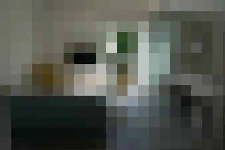 Ooghduyne 207 Julianadorp thumbnail 4