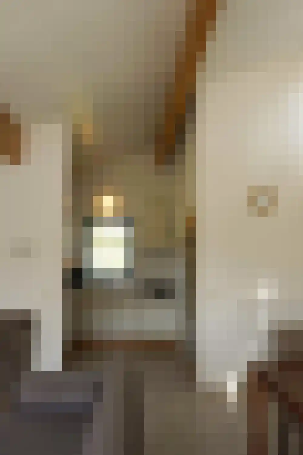 Ooghduyne 210 Julianadorp thumbnail 11