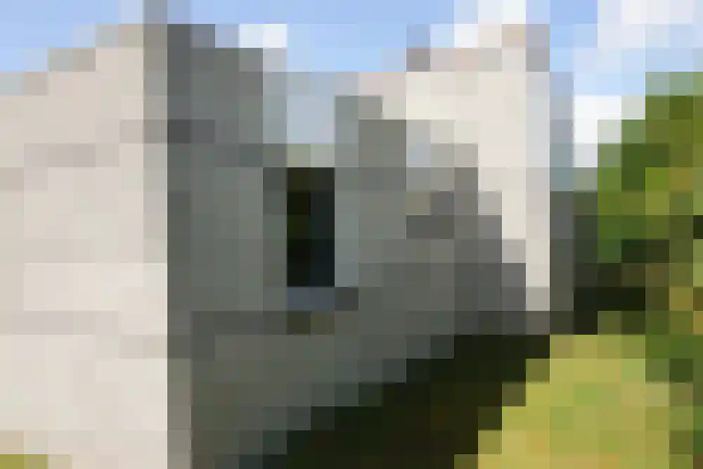 Ooghduyne 210 Julianadorp thumbnail 20