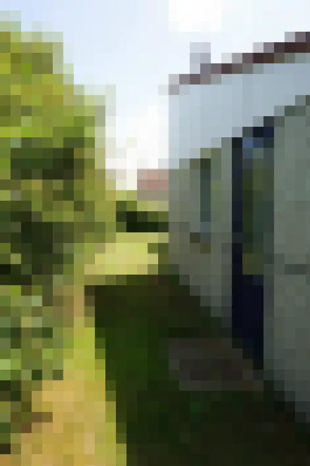 Ooghduyne 210 Julianadorp thumbnail 22