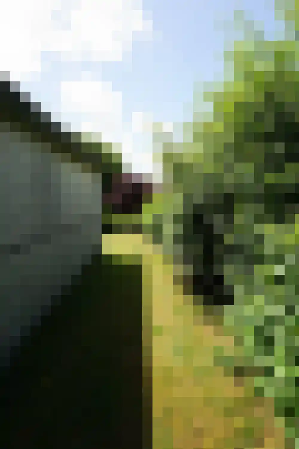 Ooghduyne 210 Julianadorp thumbnail 23