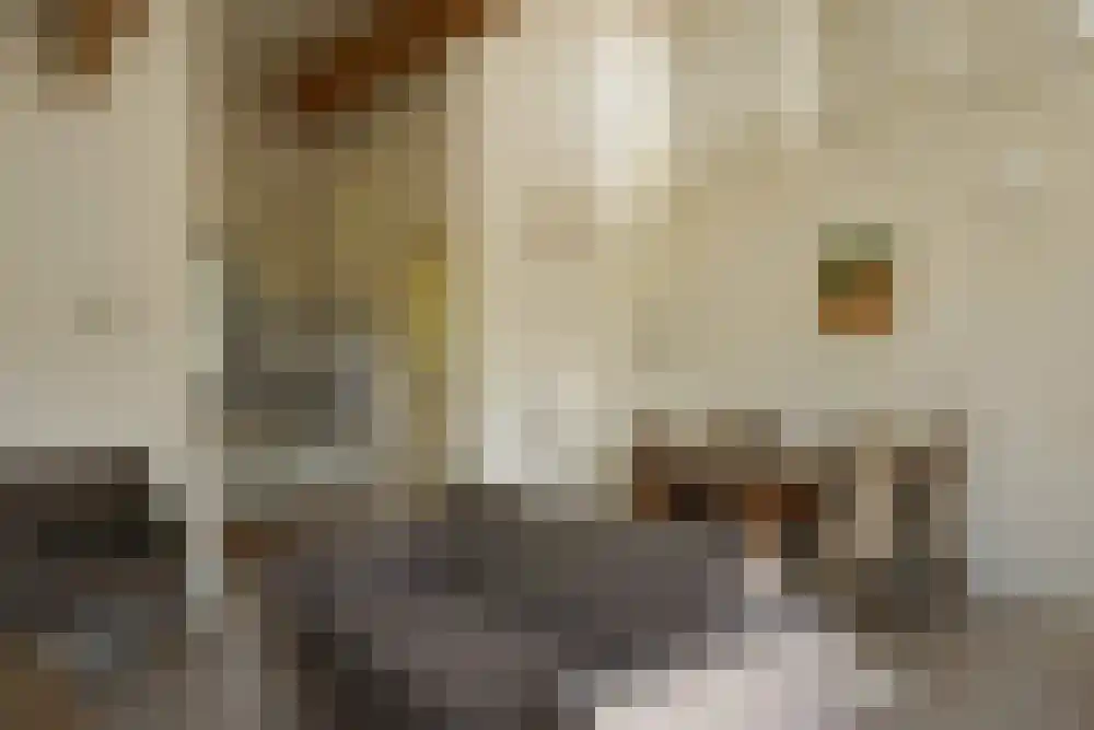 Ooghduyne 210 Julianadorp thumbnail 5