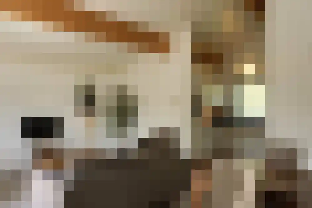 Ooghduyne 210 Julianadorp thumbnail 7