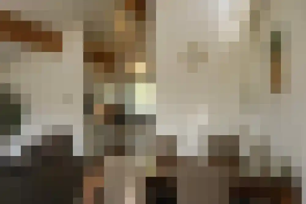 Ooghduyne 210 Julianadorp thumbnail 8