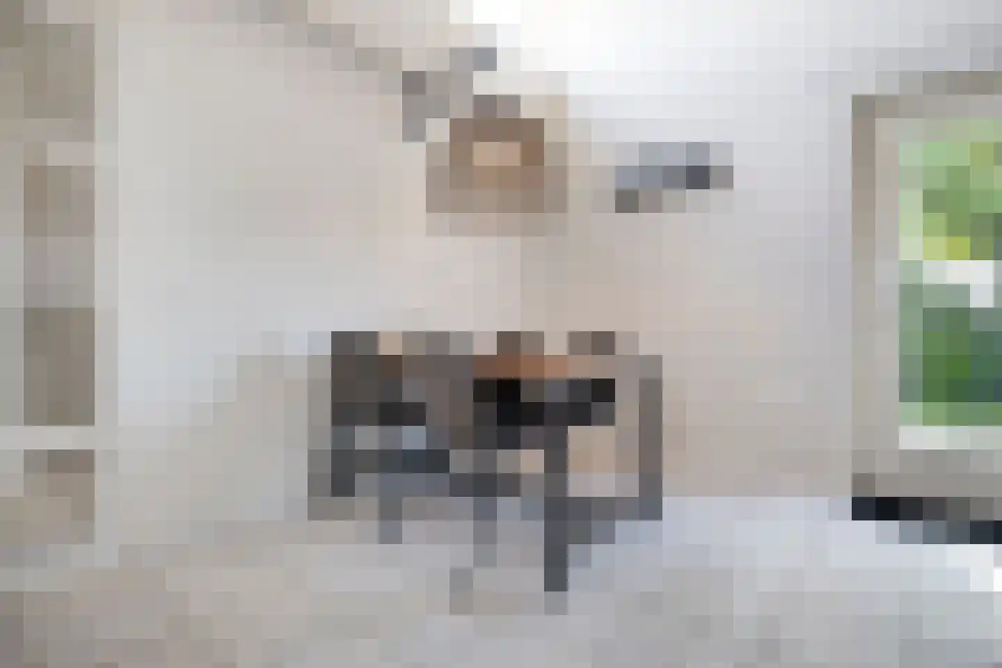 Ooghduyne 226 Julianadorp thumbnail 10