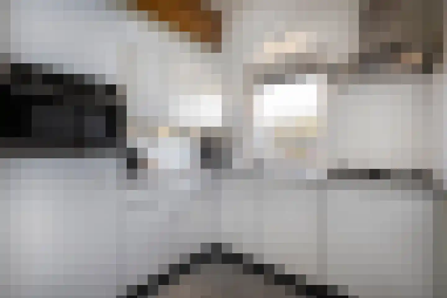 Ooghduyne 226 Julianadorp thumbnail 14