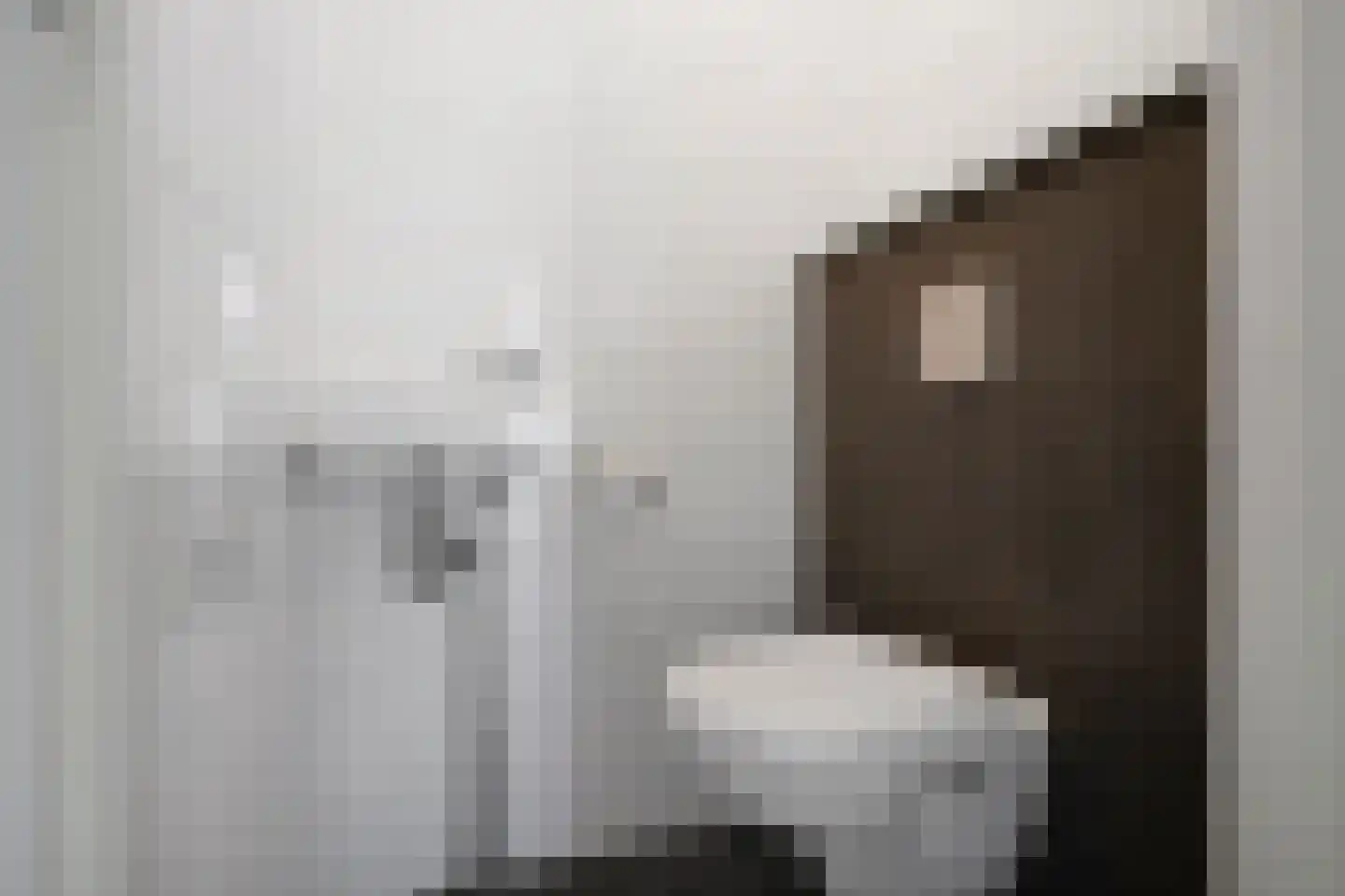 Ooghduyne 226 Julianadorp thumbnail 19
