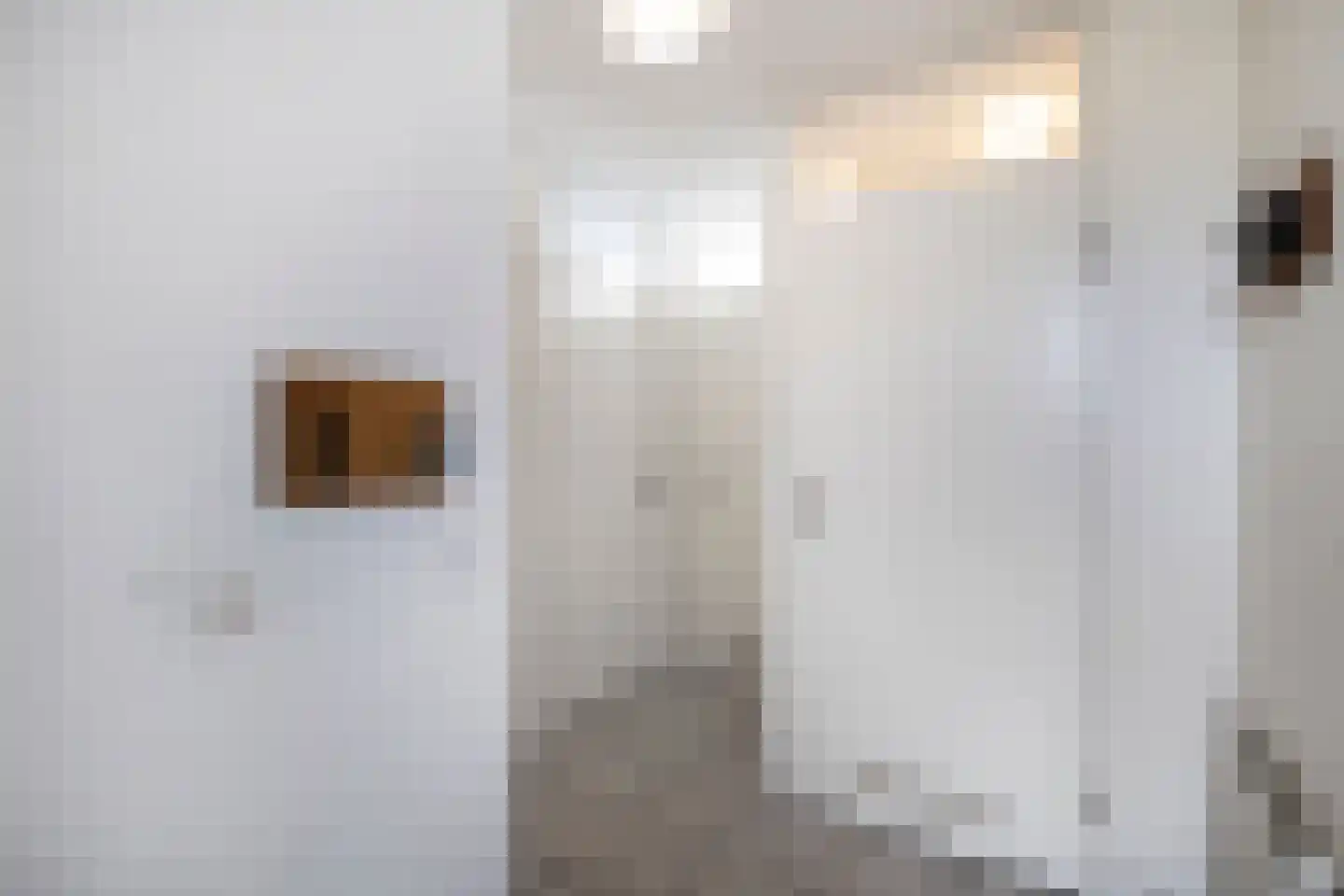 Ooghduyne 226 Julianadorp thumbnail 20