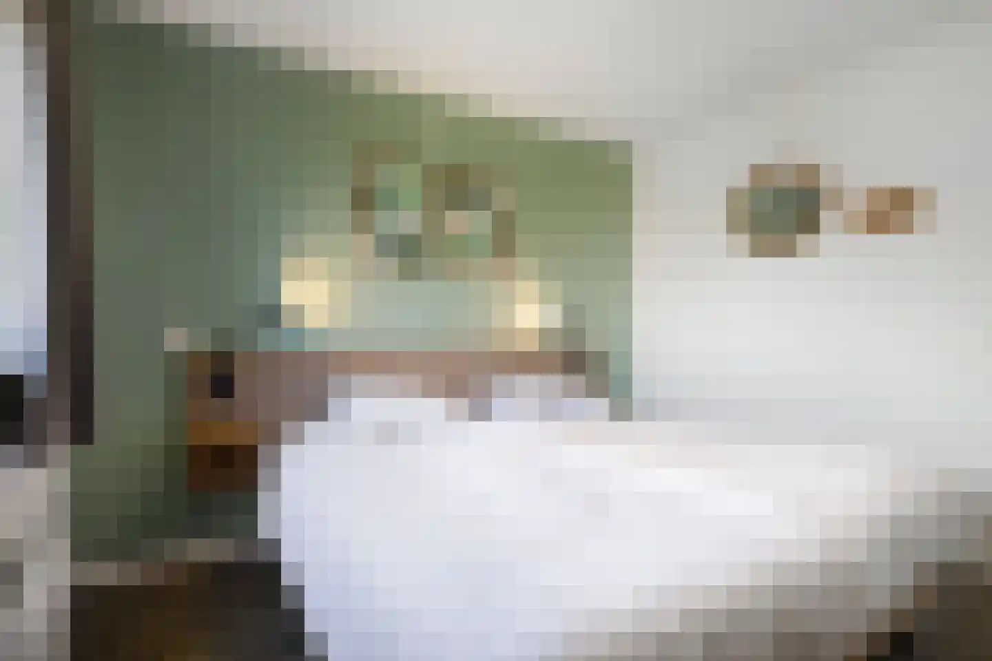 Ooghduyne 226 Julianadorp thumbnail 22