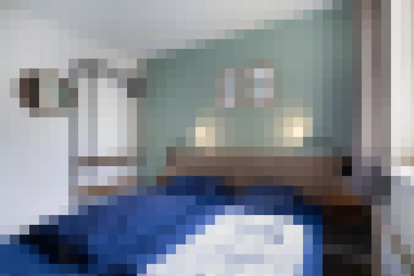 Ooghduyne 226 Julianadorp thumbnail 25
