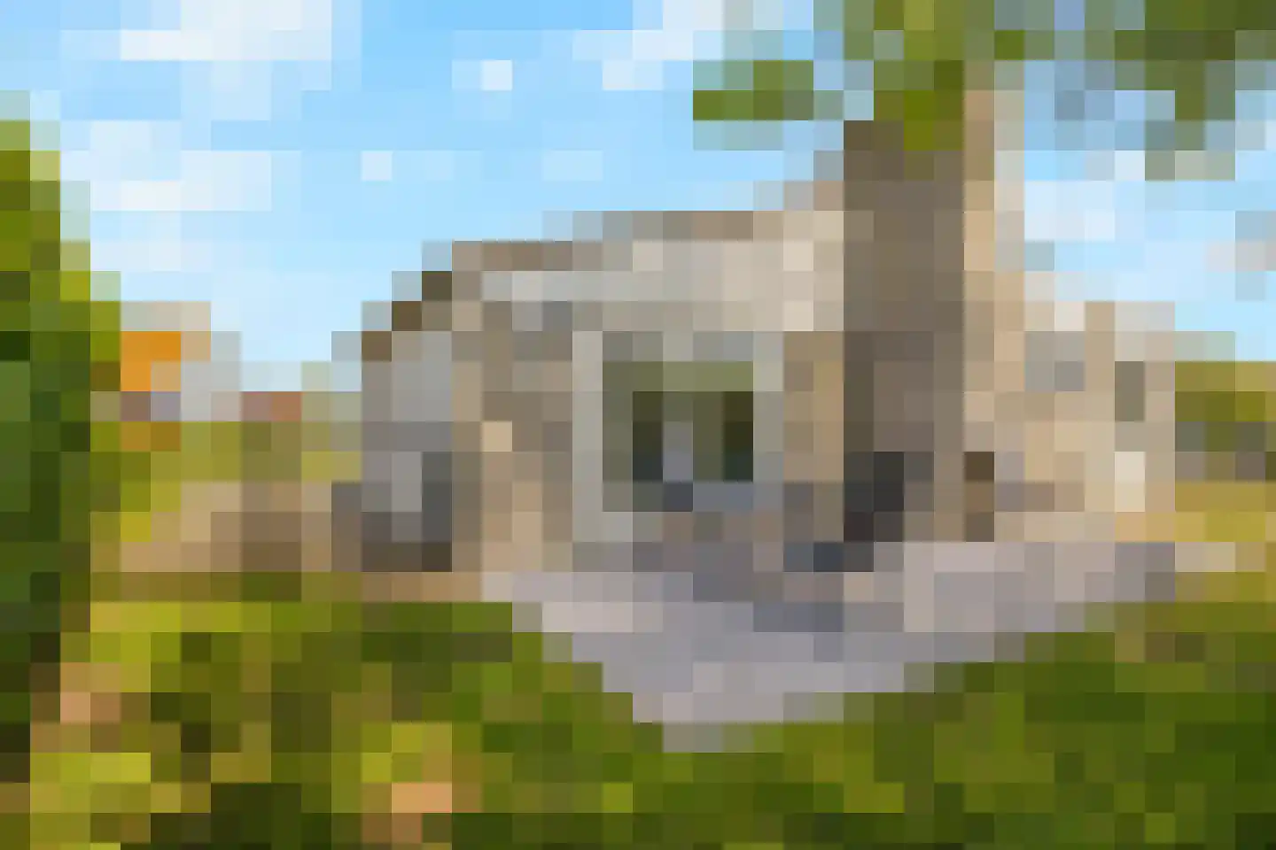 Ooghduyne 226 Julianadorp thumbnail 28