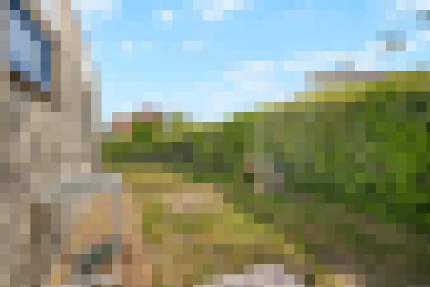 Ooghduyne 226 Julianadorp thumbnail 31