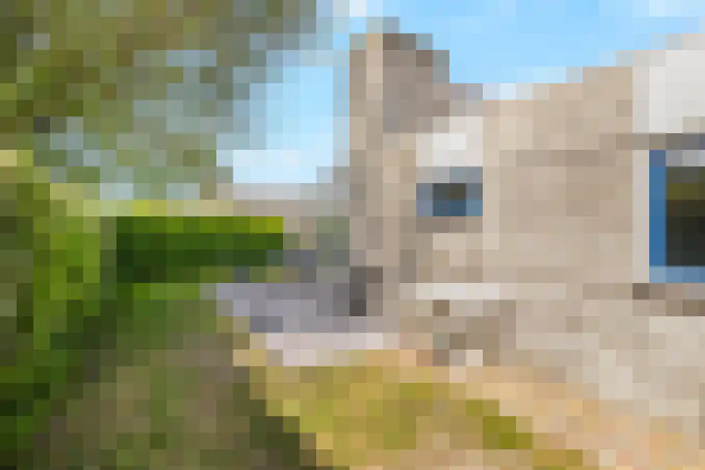 Ooghduyne 226 Julianadorp thumbnail 32