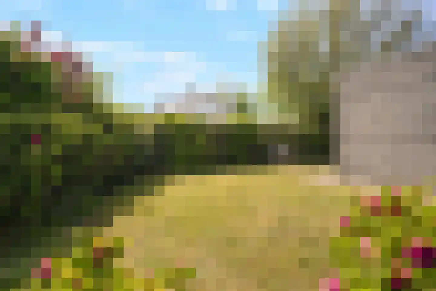 Ooghduyne 226 Julianadorp thumbnail 33