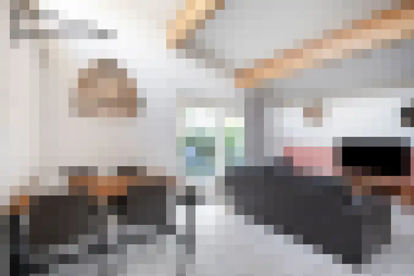 Ooghduyne 226 Julianadorp thumbnail 5