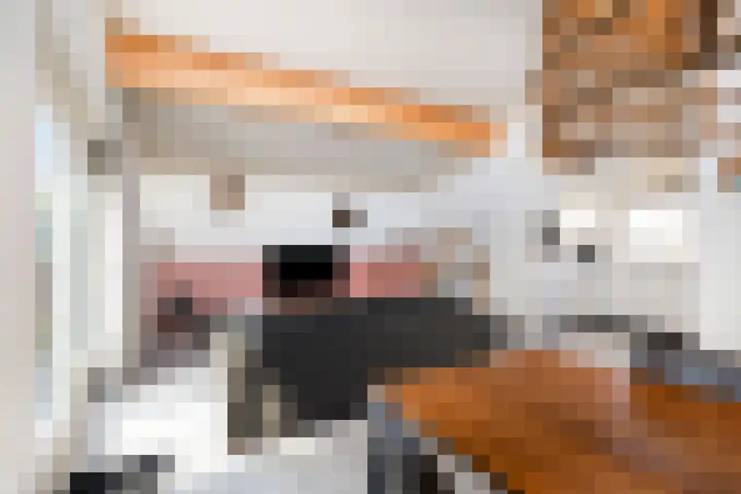 Ooghduyne 226 Julianadorp thumbnail 6