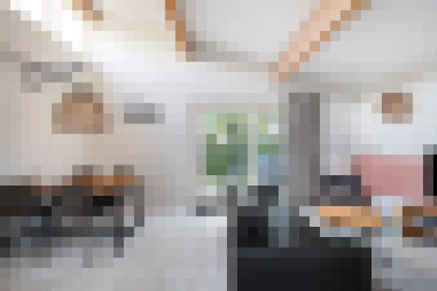 Ooghduyne 226 Julianadorp thumbnail 9